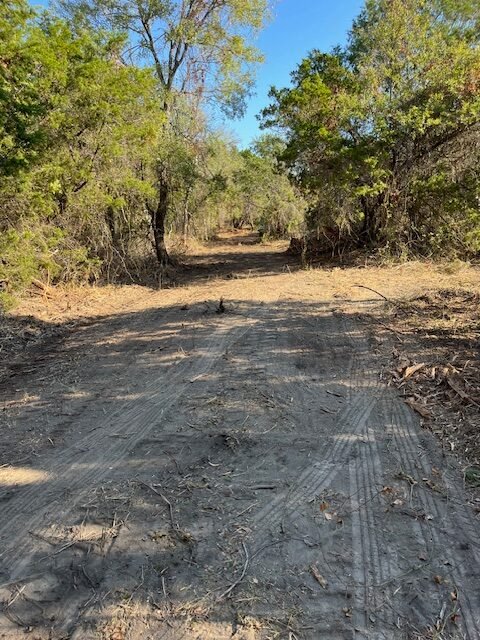 Gilbert Land Management LLC Land Clearing